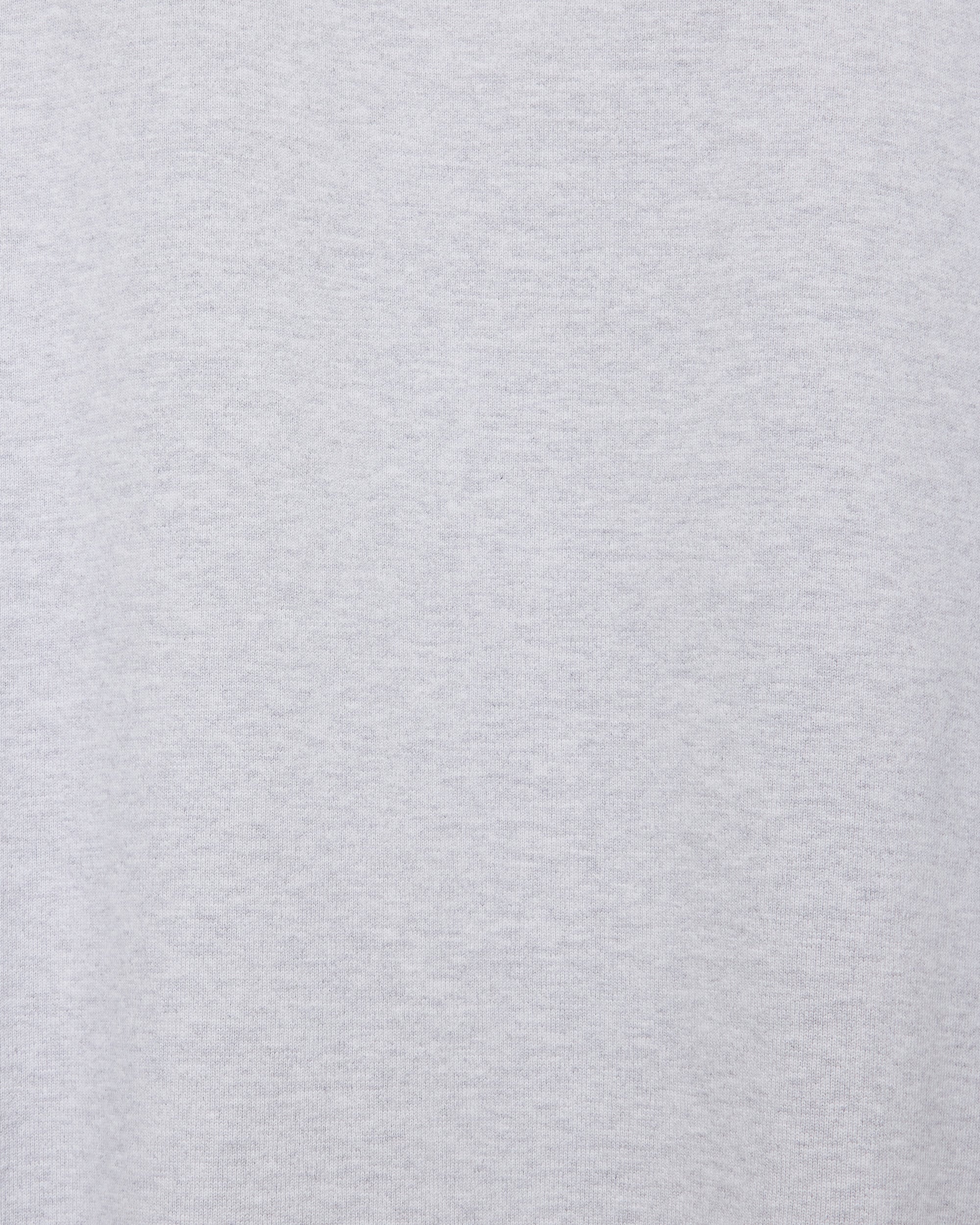 オーガニックコットンヘビー吊裏毛 / ヒュージスウェット, Ash Gray