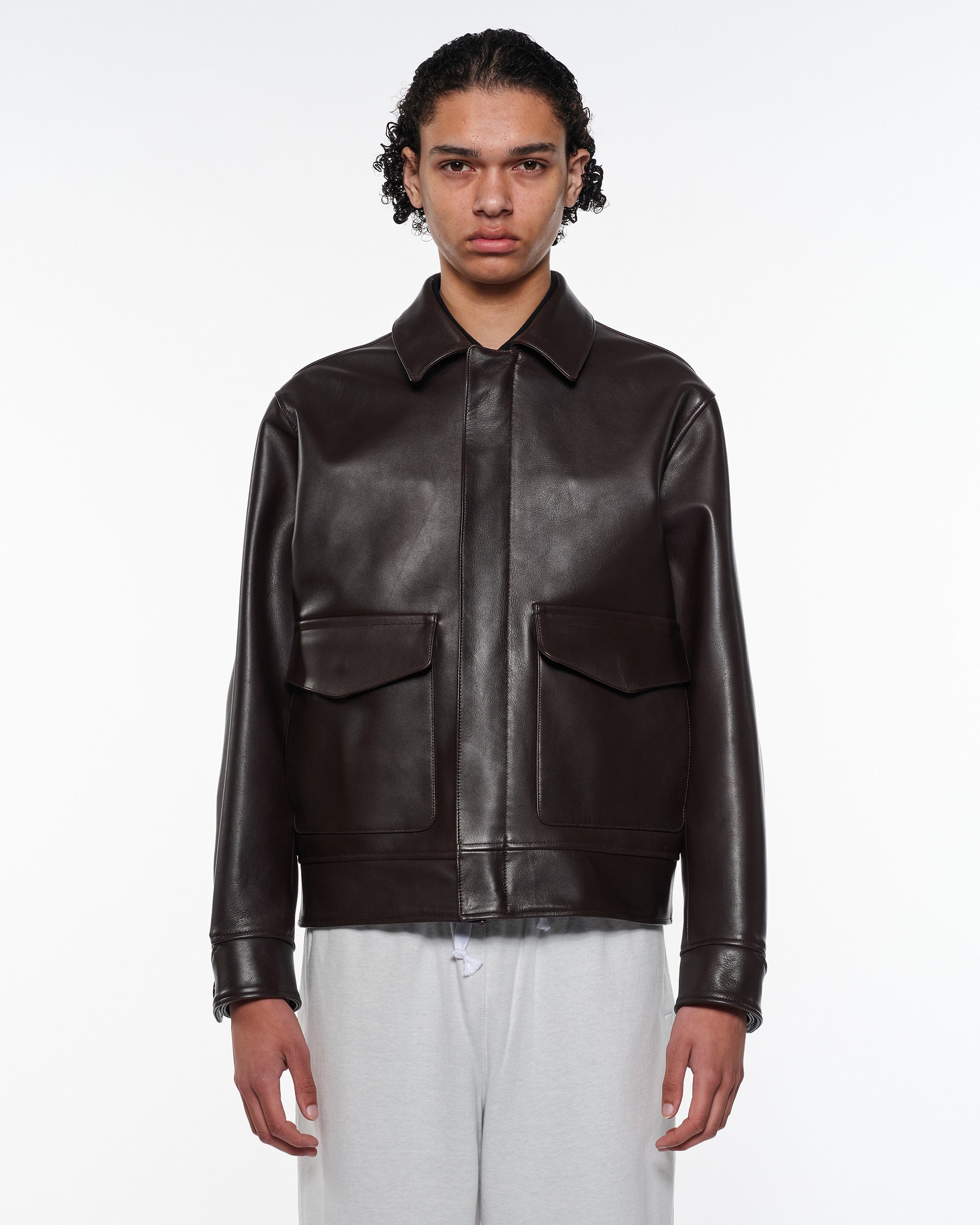 シープレザー / レザーフライトジャケット, Brown